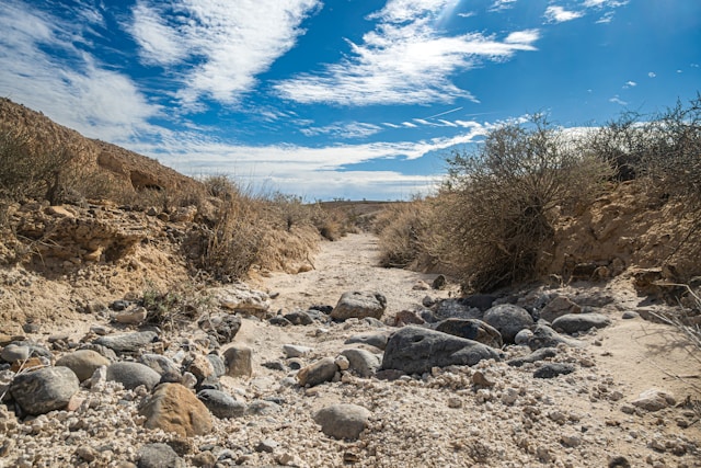 A dry, rocky path through a desert wilderness