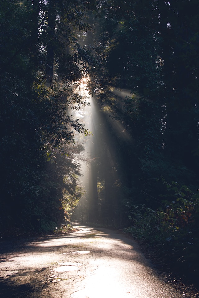 A steady path lit by soft light reflecting strength and humility